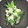 Green Cattleya Corsage