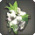 White Cattleya Corsage